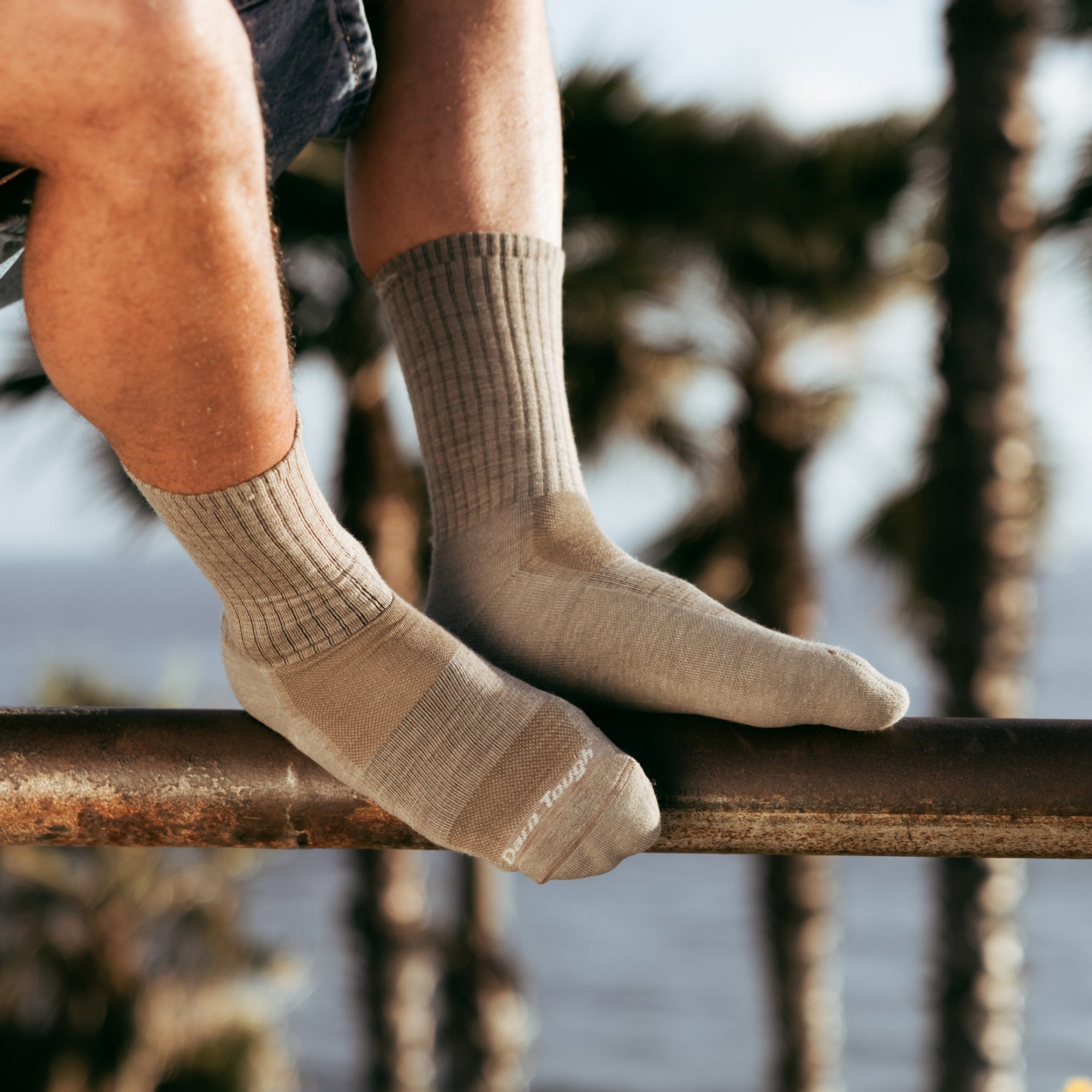 Men's The Standard Crew Cushioned Lightweight Lifestyle Socks