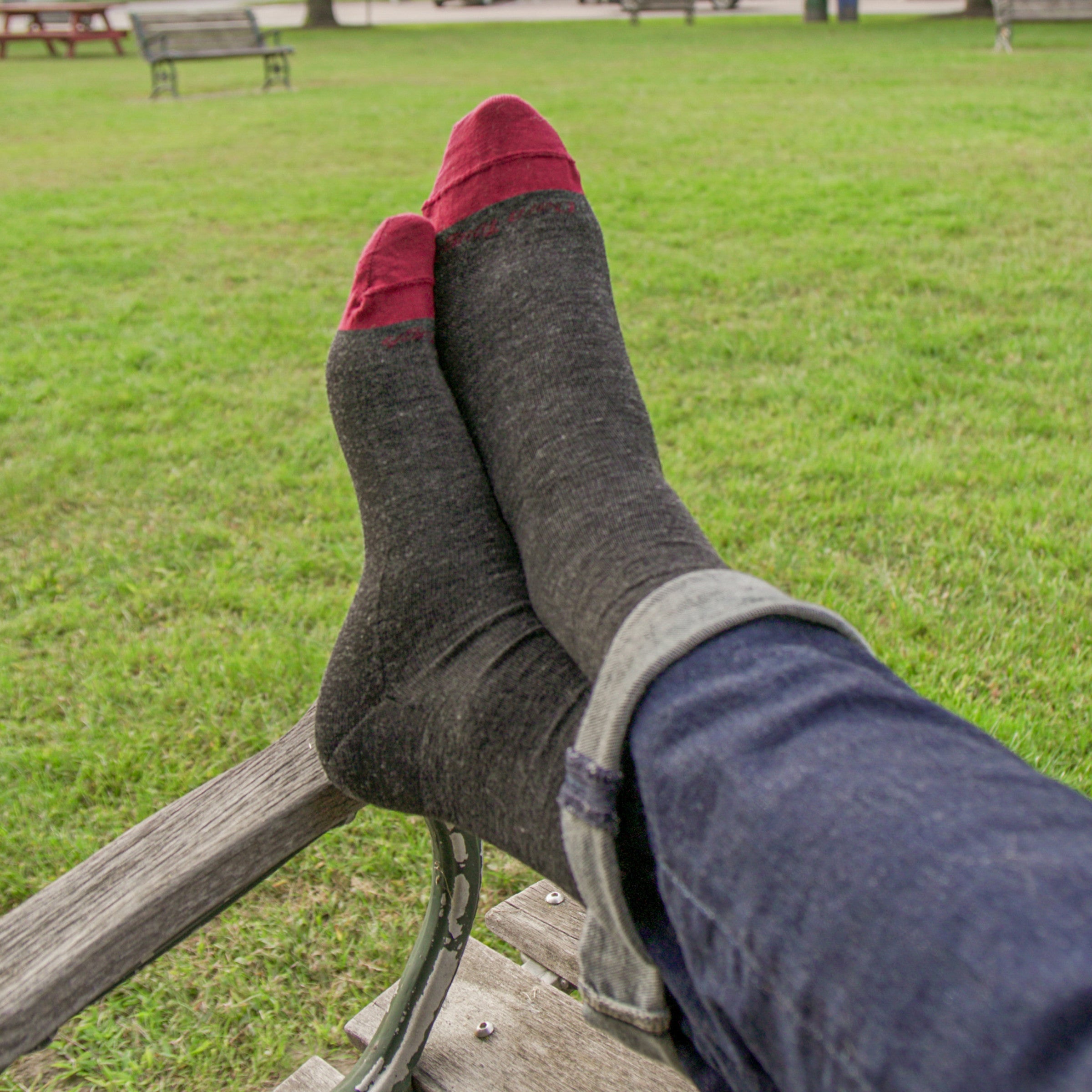 Men's Solid Crew Lightweight Lifestyle Socks