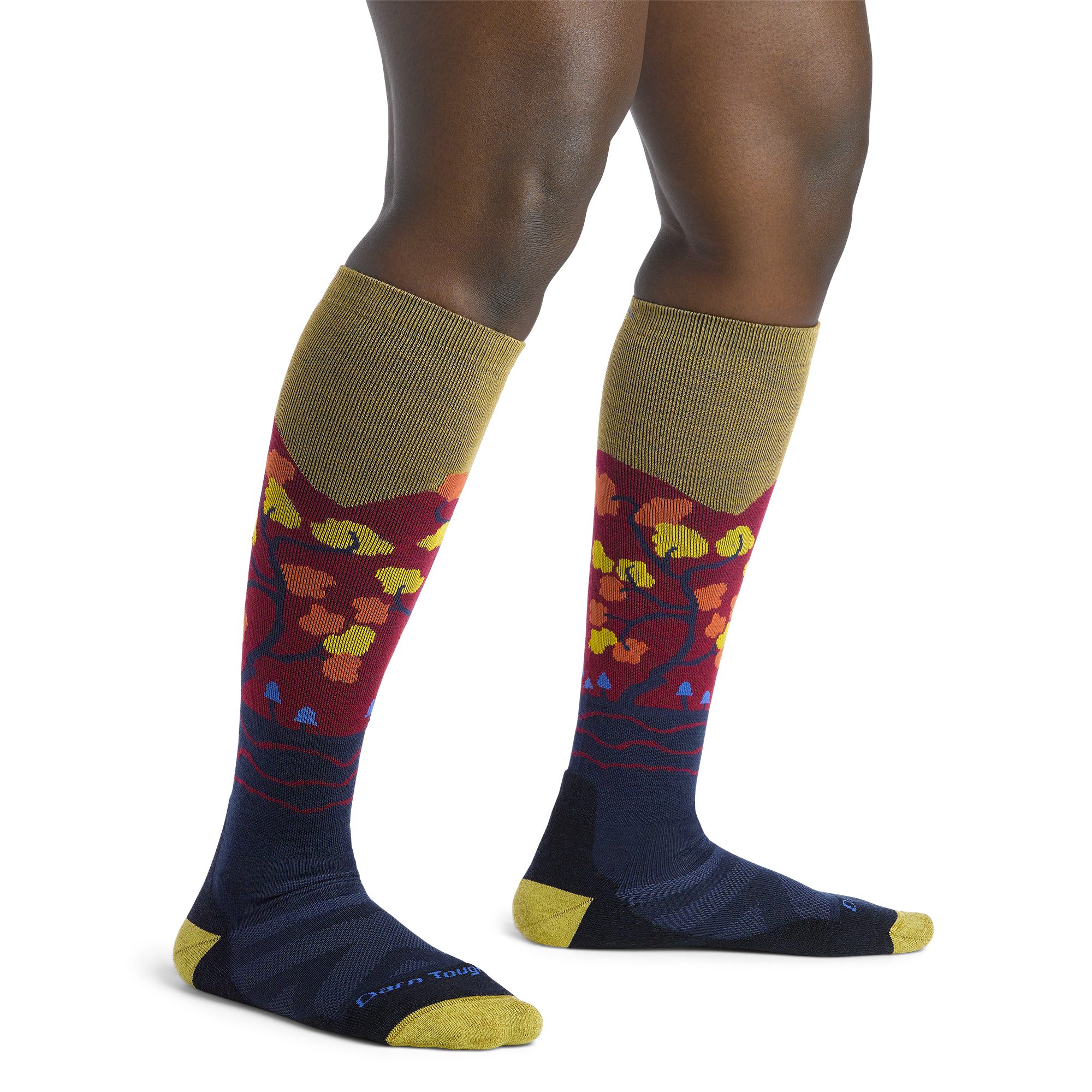 Women's Enchanted Over-the-Calf Midweight Ski & Snowboard Socks